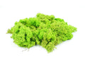 GAUGEMASTER GM1601 LICHEN LIGHT GREEN 80G