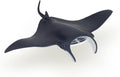 PAPO 56006 MANTA RAY