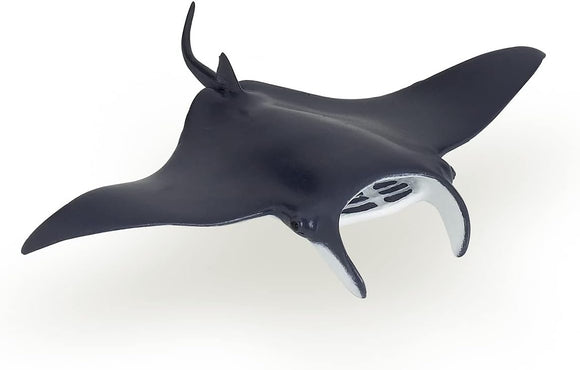 PAPO 56006 MANTA RAY