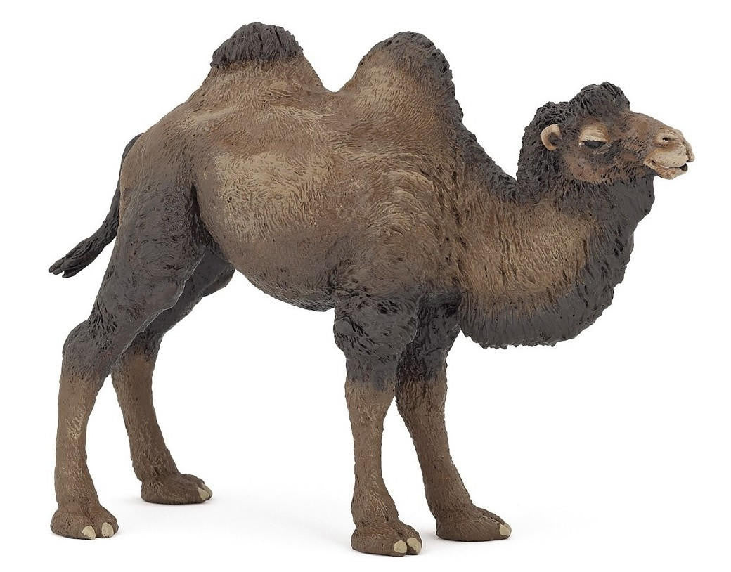 PAPO 50129 BACTRIAN CAMEL