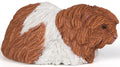 PAPO 50276 GUINEA PIG