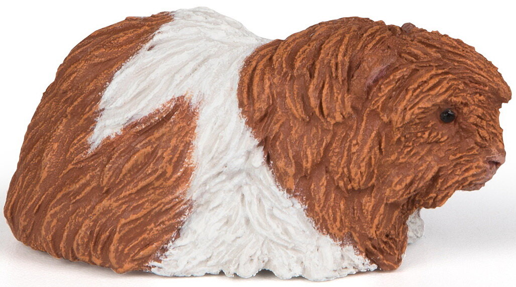 PAPO 50276 GUINEA PIG