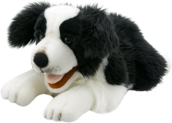 THE PUPPET COMPANY PC003007 PLAYFUL PUPPIES BORDER COLLIE PUPPET