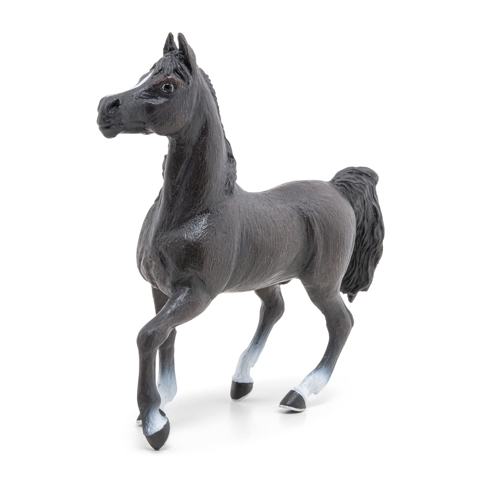 PAPO 51505 ARAB HORSE