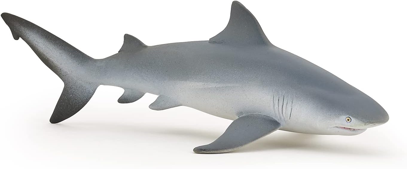 PAPO 56044 BULL SHARK