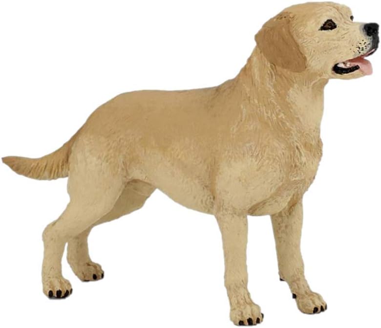 PAPO 54029 LABRADOR