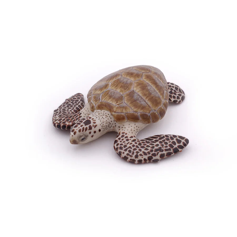 PAPO 56005 LOGGERHEAD TURTLE
