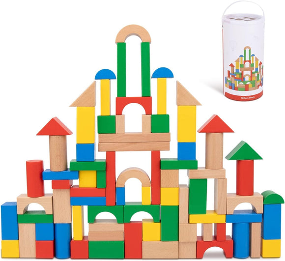 TOOKY TOYS TH467 WOODEN BLOCKS IN TUB 100 PIECES