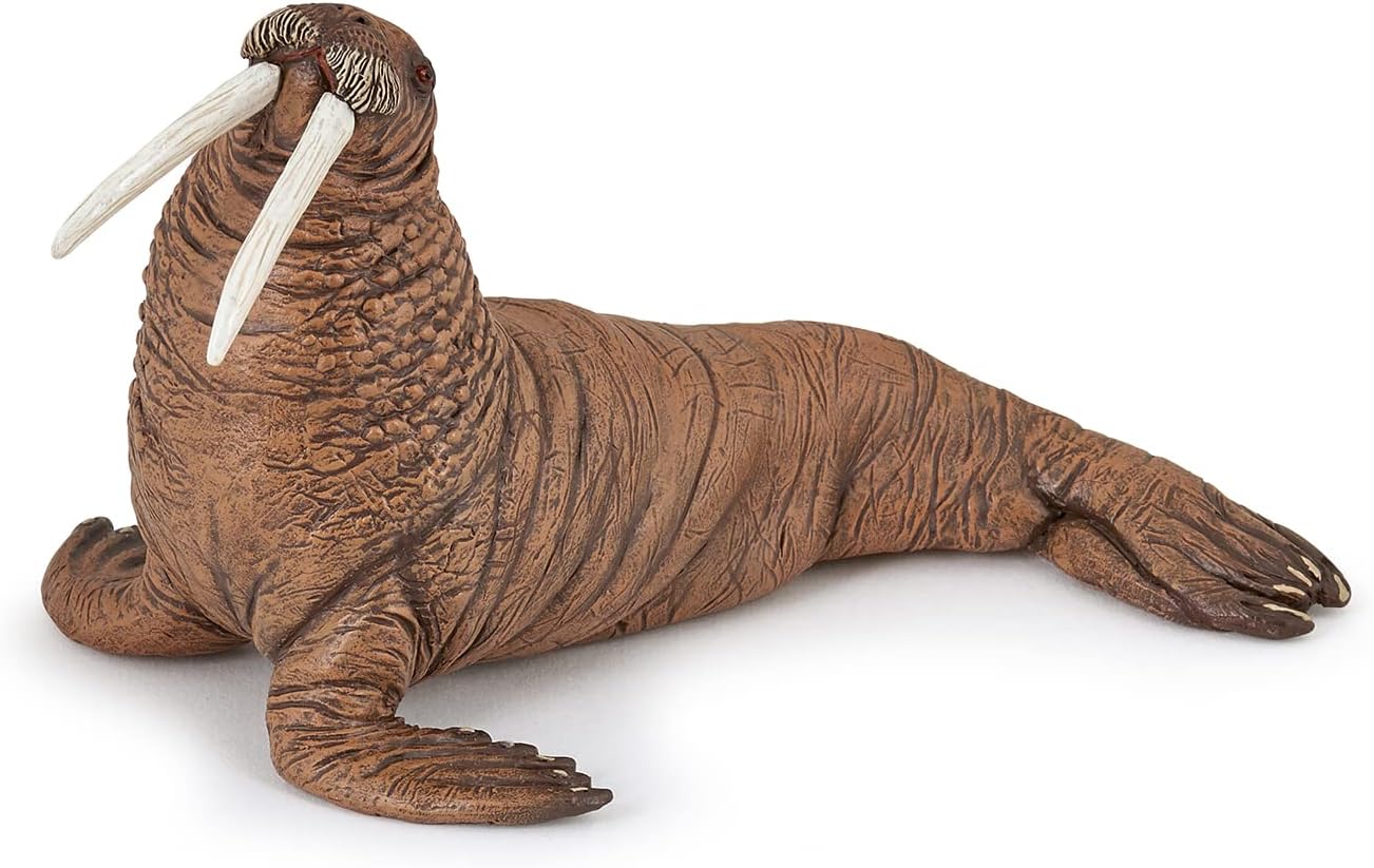 PAPO 56030 WALRUS