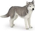 PAPO 54035 SIBERIAN HUSKY
