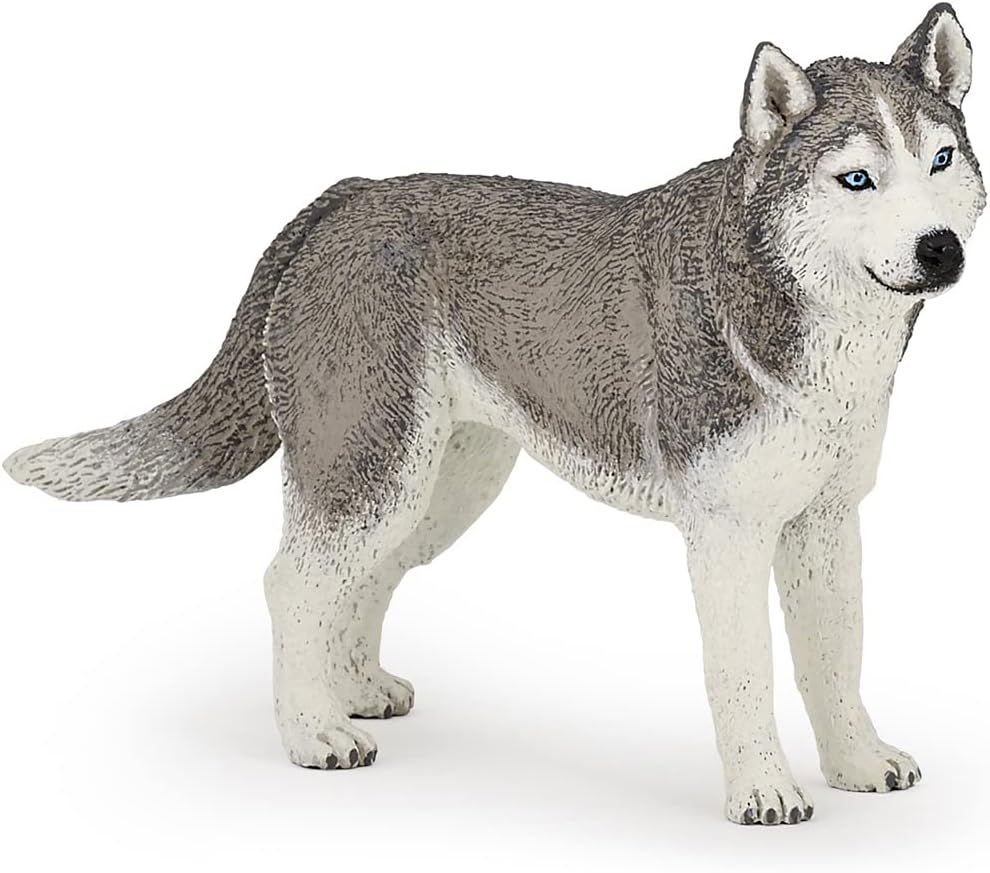 PAPO 54035 SIBERIAN HUSKY