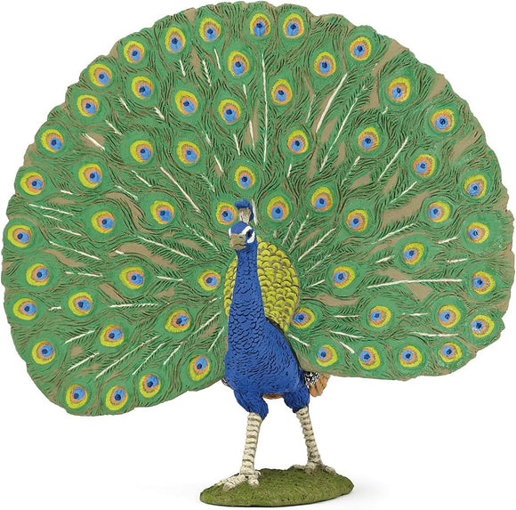 PAPO 51161 PEACOCK