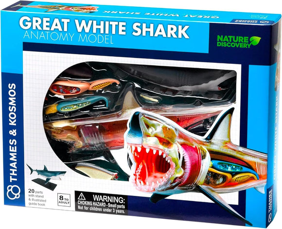 THAMES & KOSMOS 261110 GREAT WHITE SHARK ANATOMY MODEL