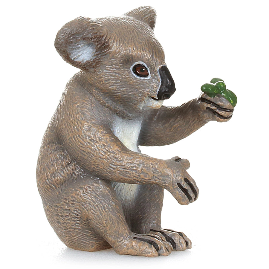PAPO 50111 KOALA