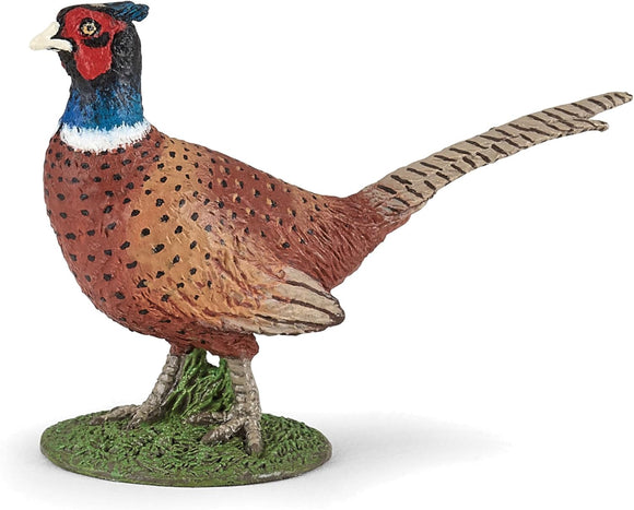 PAPO 50263 PHEASANT