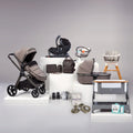 Bababing Raffi 17 piece Travel, Home & Feeding Bundle - Minky