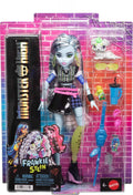 MONSTER HIGH JHK31 FRANKIE STEIN