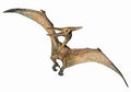 PAPO 55006 PTERANODON DINOSAUR