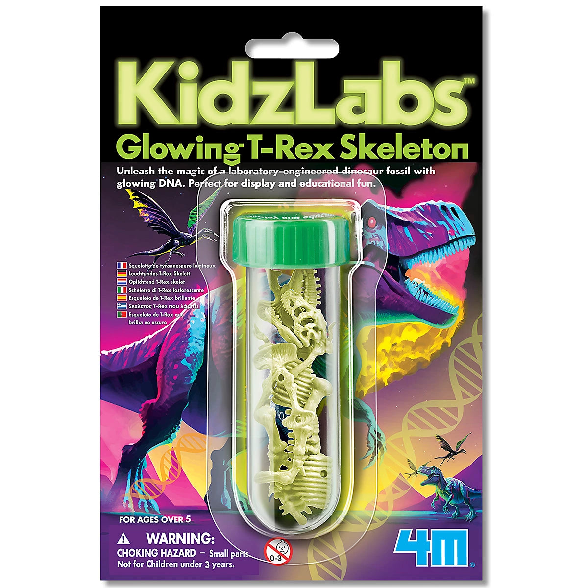 4M KIDZLABS 3467 GLOWING T-REX SKELETON