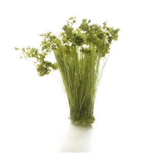 WOODLAND SCENICS FS777 MEDIUM GREEN PRAIRIE GRASS