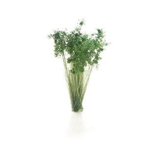 WOODLAND SCENICS FS778 DARK GREEN PRAIRIE GRASS