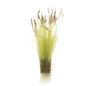 WOODLAND SCENICS FS779 BROWN TIPPED  PRAIRIE GRASS