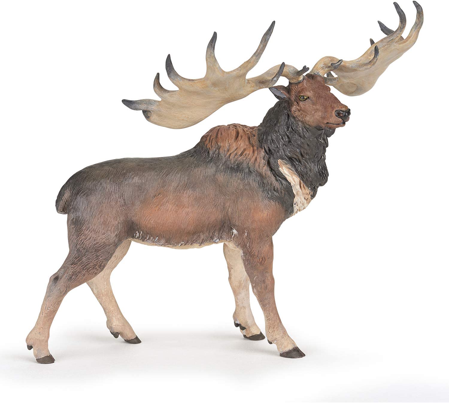 PAPO 55080 MEGALOCEROS