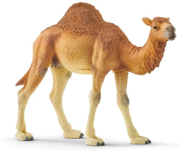 SCHLEICH  14832 WILD LIFE DROMEDARY