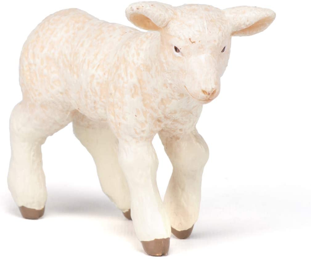 PAPO 51047 LAMB