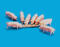 PECO MODELSCENE 5108 PIGS