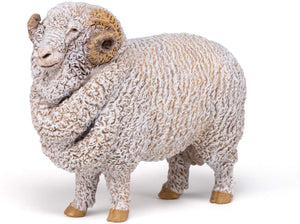 PAPO 51174 MERINOS SHEEP