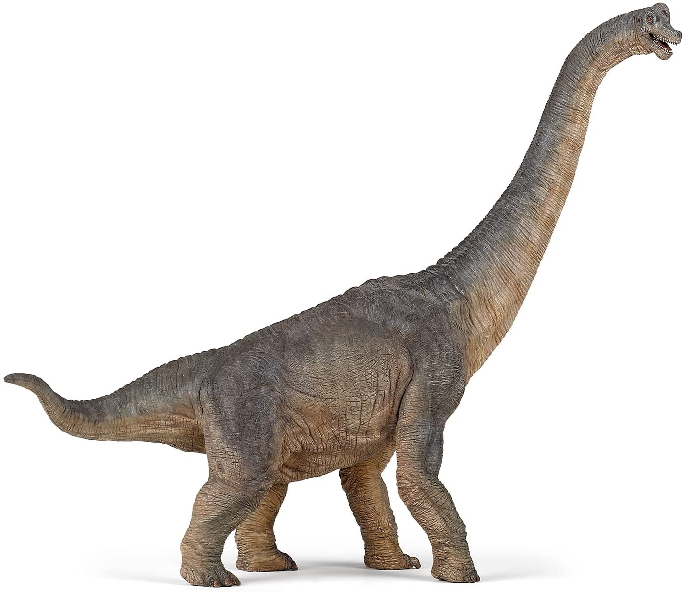 PAPO 55030 BRACHIOSAURUS DINOSAUR