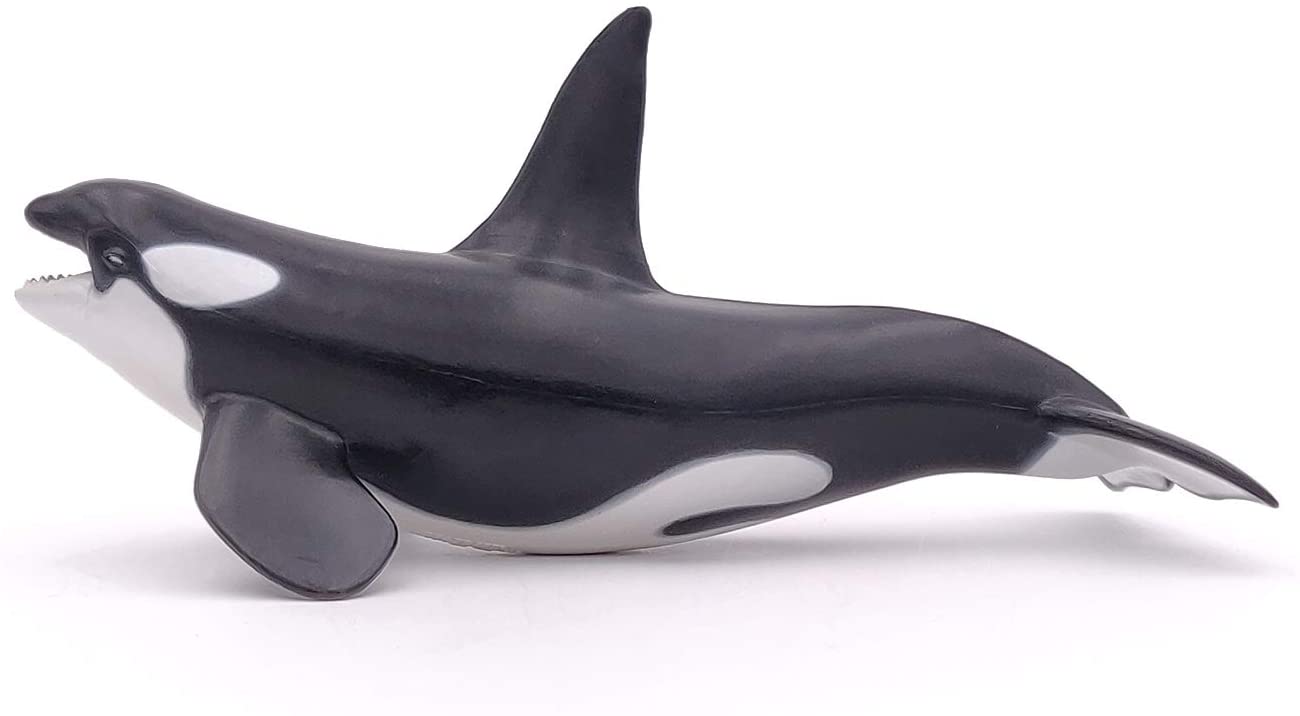 PAPO 56000 KILLER WHALE