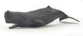 PAPO 56045 SPERM WHALE CALF