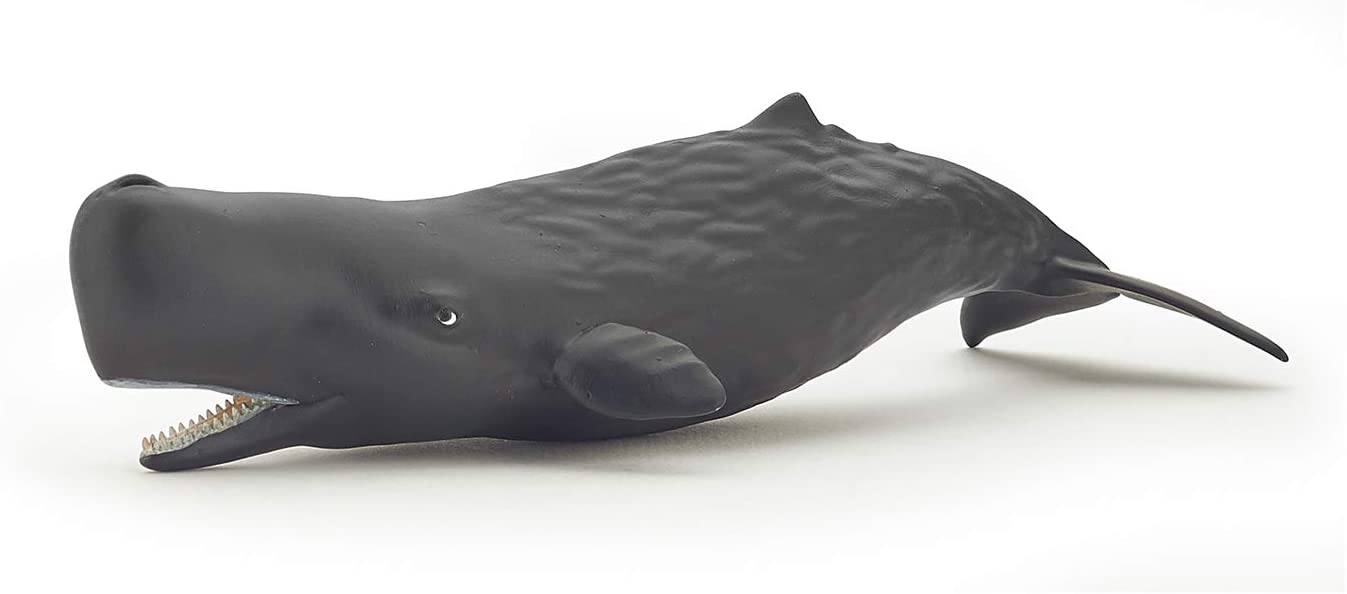 PAPO 56045 SPERM WHALE CALF