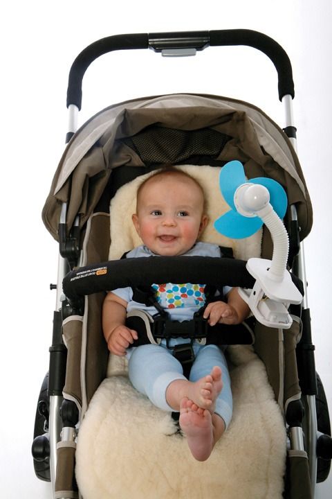 Stroller Fan Blue