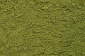 TAMIYA 87111 GREEN GRASS EFFECT DIORAMA TEXTURE PAINT