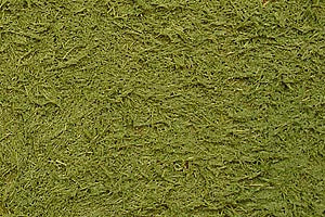 TAMIYA 87111 GREEN GRASS EFFECT DIORAMA TEXTURE PAINT