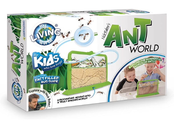 MY LIVING WORLD LW101 ANT WORLD