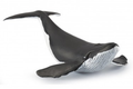 PAPO 56035 WHALE CALF