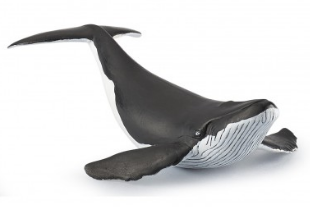 PAPO 56035 WHALE CALF