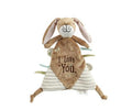 GUESS HOW MUCH I LOVE YOU COMFORT BLANKET