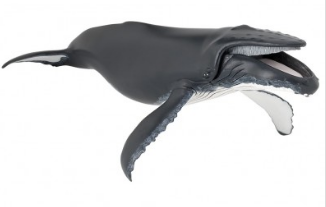 PAPO 56001 HUMPBACK WHALE