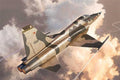 Italeri 2827 Northrop F-5E Tiger II 1/48