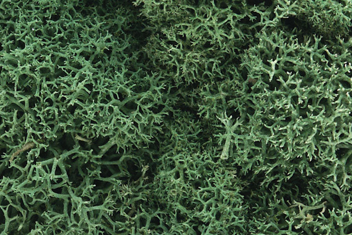 WOODLAND SCENICS WL162 LICHEN LIGHT GREEN