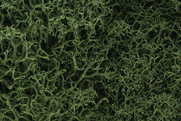 WOODLAND SCENICS WL163 LICHEN MEDIUM GREEN