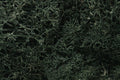 WOODLAND SCENICS WL164 LICHEN DARK GREEN