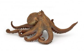 PAPO 56013 OCTOPUS