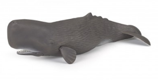 PAPO 56036 SPERM WHALE