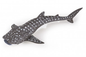 PAPO 56046 YOUNG WHALE SHARK